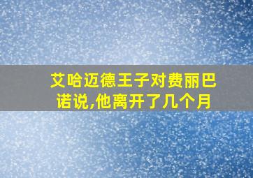 艾哈迈德王子对费丽巴诺说,他离开了几个月