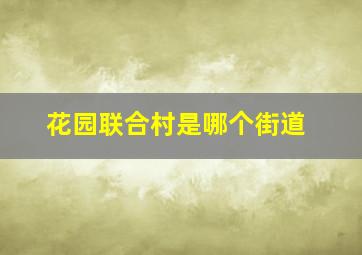 花园联合村是哪个街道