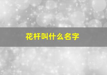 花杆叫什么名字