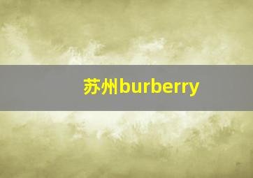 苏州burberry