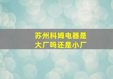 苏州科姆电器是大厂吗还是小厂