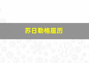 苏日勒格履历