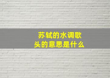 苏轼的水调歌头的意思是什么