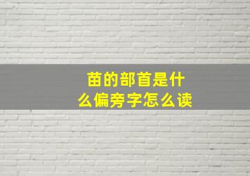 苗的部首是什么偏旁字怎么读