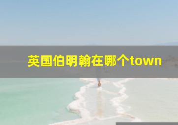 英国伯明翰在哪个town