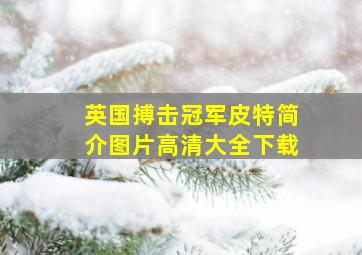 英国搏击冠军皮特简介图片高清大全下载