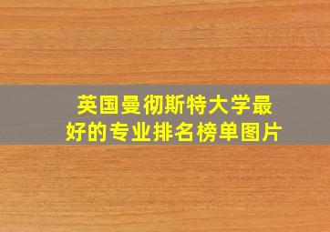 英国曼彻斯特大学最好的专业排名榜单图片