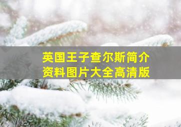 英国王子查尔斯简介资料图片大全高清版