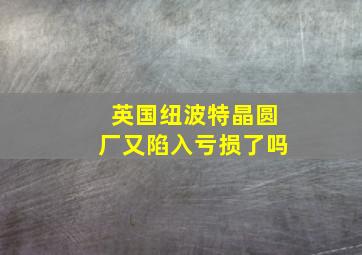 英国纽波特晶圆厂又陷入亏损了吗