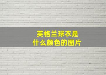 英格兰球衣是什么颜色的图片