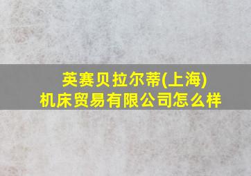 英赛贝拉尔蒂(上海)机床贸易有限公司怎么样