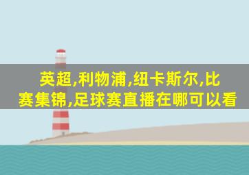 英超,利物浦,纽卡斯尔,比赛集锦,足球赛直播在哪可以看