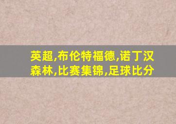 英超,布伦特福德,诺丁汉森林,比赛集锦,足球比分