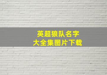 英超狼队名字大全集图片下载