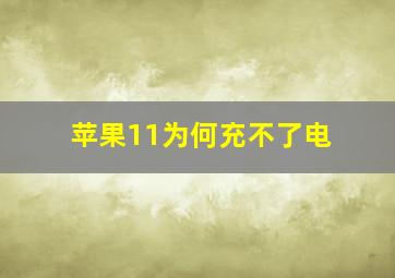 苹果11为何充不了电