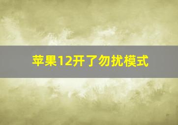 苹果12开了勿扰模式