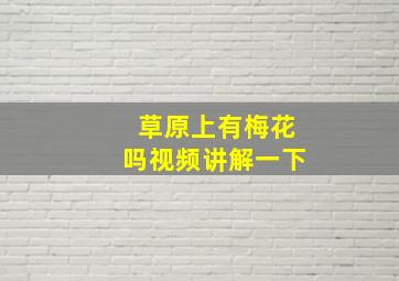 草原上有梅花吗视频讲解一下