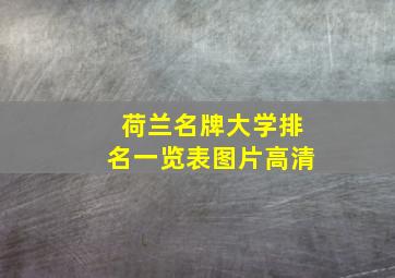 荷兰名牌大学排名一览表图片高清