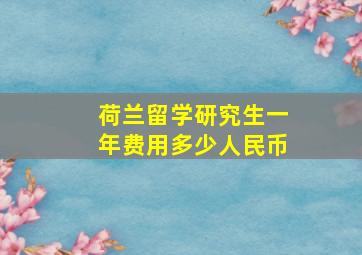 荷兰留学研究生一年费用多少人民币