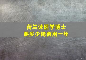 荷兰读医学博士要多少钱费用一年