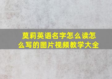 莫莉英语名字怎么读怎么写的图片视频教学大全