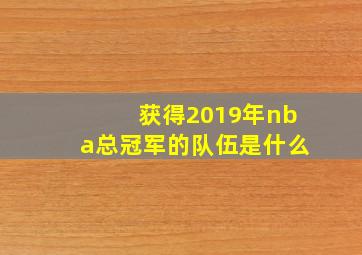 获得2019年nba总冠军的队伍是什么