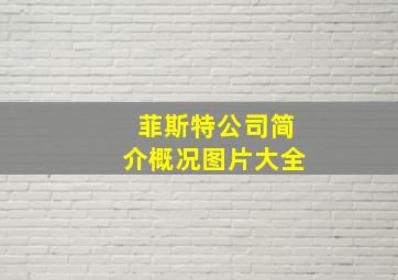 菲斯特公司简介概况图片大全