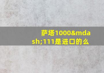 萨塔1000—111是进口的么