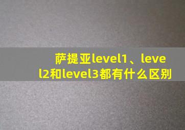 萨提亚level1、level2和level3都有什么区别