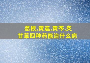 葛根,黄连,黄芩,炙甘草四种药能治什么病