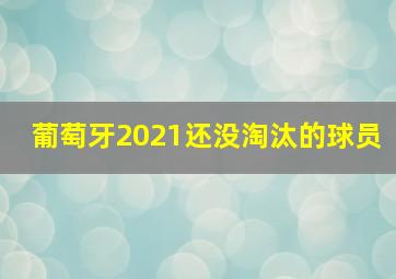 葡萄牙2021还没淘汰的球员