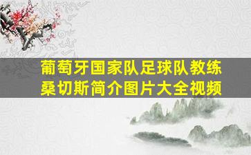 葡萄牙国家队足球队教练桑切斯简介图片大全视频