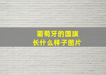 葡萄牙的国旗长什么样子图片