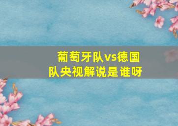 葡萄牙队vs德国队央视解说是谁呀