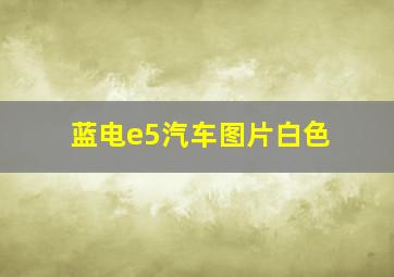 蓝电e5汽车图片白色