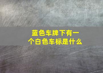 蓝色车牌下有一个白色车标是什么