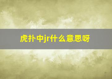 虎扑中jr什么意思呀