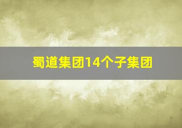 蜀道集团14个子集团