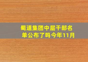 蜀道集团中层干部名单公布了吗今年11月