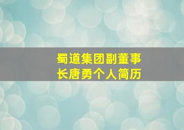 蜀道集团副董事长唐勇个人简历