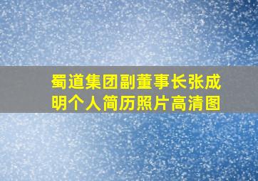 蜀道集团副董事长张成明个人简历照片高清图