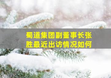 蜀道集团副董事长张胜最近出访情况如何