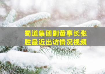 蜀道集团副董事长张胜最近出访情况视频