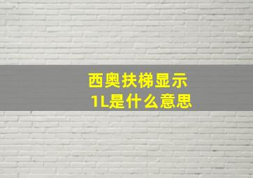 西奥扶梯显示1L是什么意思