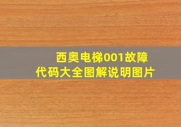 西奥电梯001故障代码大全图解说明图片