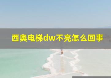 西奥电梯dw不亮怎么回事