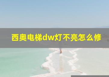 西奥电梯dw灯不亮怎么修