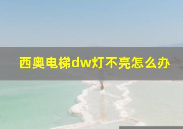 西奥电梯dw灯不亮怎么办