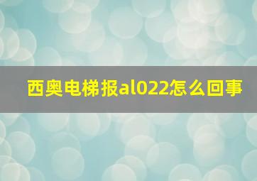 西奥电梯报al022怎么回事