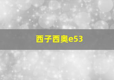 西子西奥e53